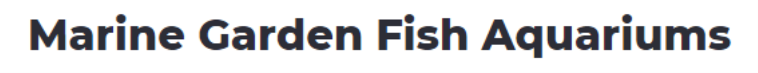 Marine Garden Fish Aquariums - Sector 49 - Gurugram