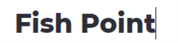 Fish Point - Abulane - Meerut