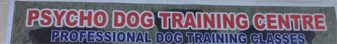 Psycho Dog Training Centre - National Highway 58 - Meerut