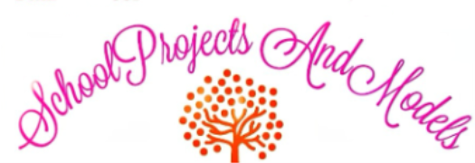 School Projects And Models - Janakpuri - Delhi