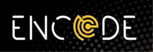 Encode - Circus Avenue - Kolkata