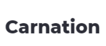 Carnation - Moti Nagar - Delhi