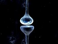 Synapse Hospital - Kodambakkam - Chennai