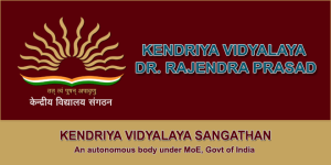 Dr. Rajinder Prasad Sarvodaya Vidyalaya - President Estate - Delhi
