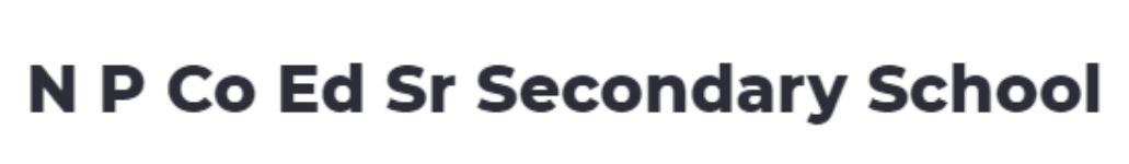 N P Co Ed Sr Secondary School - New Kali Bari Lane - Delhi