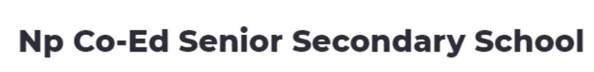 Np Co-Ed Senior Secondary School - New Kali Bari Lane - Delhi