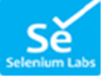 Seleniumlabs.in