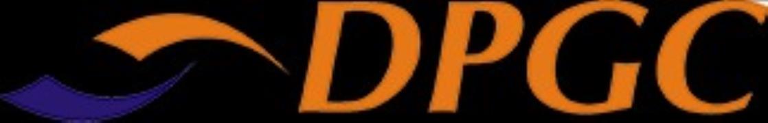 Delhi Punjab Goods Carrier Private Limited - Zakhira - Delhi