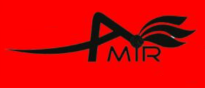 Amir Tours Travels Private Limited - Tambaram - Chennai