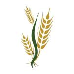 Pinjars Mart - Shivai Nagar - Thane