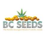 Bcseeds