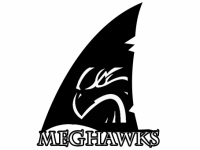 MegHawks IT Solutions