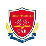 Cherry Institute - Bangalore