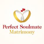 Perfectsoulmatematrimony