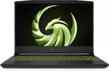 MSI Alpha 15 Advantage Edition B5EEK-235IN Laptop