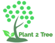 Plant 2 Tree