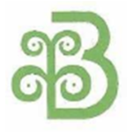 Brijlaxmi Leasing & Fin