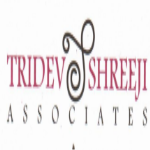 Tridev Shreeji Associates - Mumbai Image