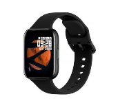 Zebronics Zeb-Fit1220Ch