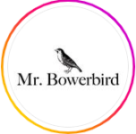 Mr Bowerbird