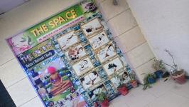 The Spa Space - Sector 63 - Gurgaon