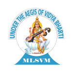 Mata Leelawanti Saraswati Vidya Mandir - HariNagar - Delhi