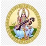 Mata Vidya Devi Public School - Najafgarh - Delhi