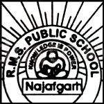Rao Man Singh Senior Secondary School - Najafgarh - Delhi