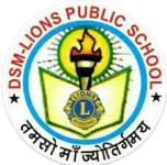 DSM Lions Public School - Faizabad