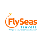 FlySeas Tours And Travels - Kharghar - Navi Mumbai