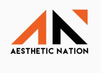 Aesthetic Nation