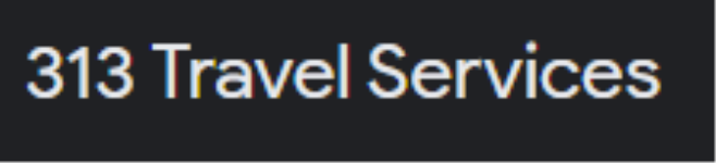313 Travel Services - Panvel - Navi Mumbai