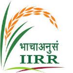 Indian Institute of Rice Research (IIRR) - Hyderabad