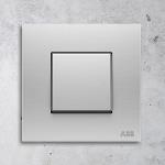 ABB Millenium Switches