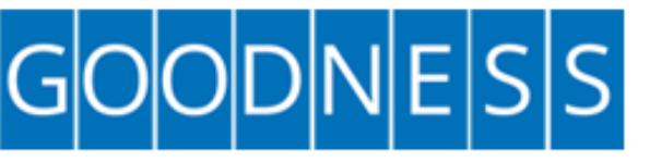 Goodness Travels - Anna Salai - Chennai