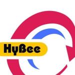 HyBee Tours and Travels - Triplicane - Chennai