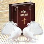 Bible Hindi