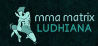 Mma Matrix Gym - Ludhiana