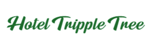 Hotel Tripple Tree - Karol Bagh - New Delhi