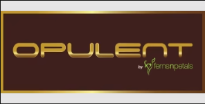 Opulent Hotel By Ferns N Petals - Bandh Rd - New Delhi