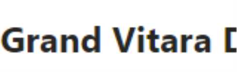 Grand Vitara - Mahavir Enclave - Delhi
