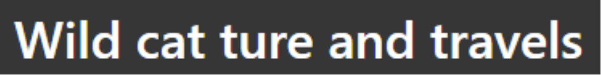 Wild Cat Ture And Travels - Vivekanund Puram Colony - Sawai Madhopur