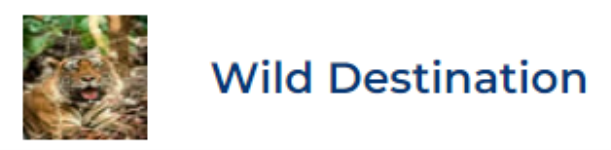 Wild Destination - Ranthambhore Rd - Sawai Madhopur