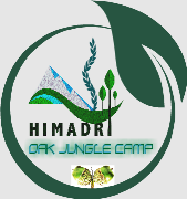 Himadri Tour Trek and Adventure - Mallital - Nainital