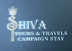 Shiva Tour and Travels Camping Stay - Tallital - Nainital