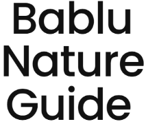 Bablu Nature Guide - Mallital - Nainital