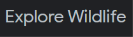 Explore Wildlife Tour & Travels - Chinsurah - Hoogly