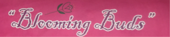 Blooming Buds Pre School - Kurla West - Mumbai- Mumbai