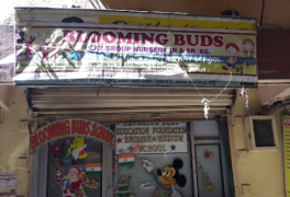 Blooming Buds - Kisan Nagar - Thane