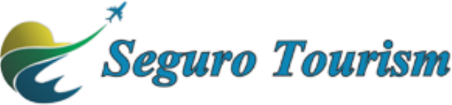 Seguro Tourism - Reliance Cross Rd - Gandhinagar